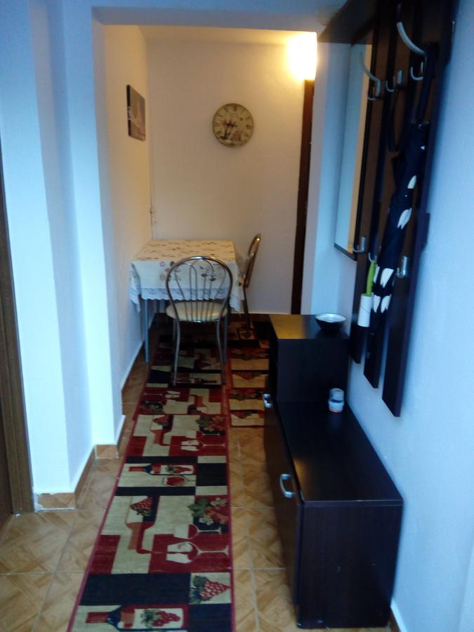 Casa Magda Apartment Тимишоара Екстериор снимка