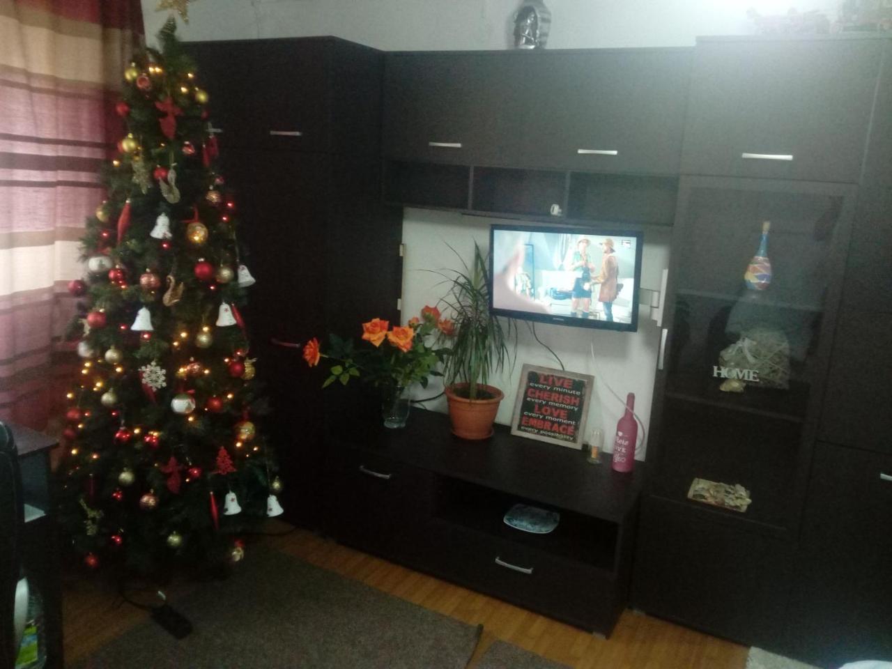 Casa Magda Apartment Тимишоара Екстериор снимка