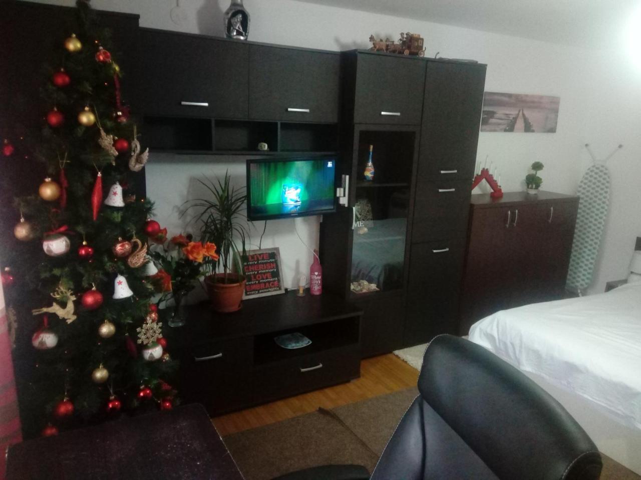 Casa Magda Apartment Тимишоара Екстериор снимка